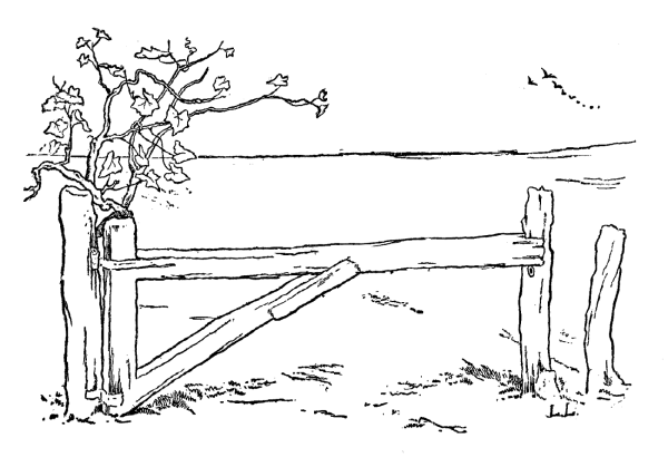 Забор контурный рисунок