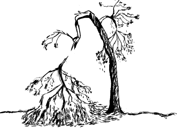 Сломанное дерево рисунок