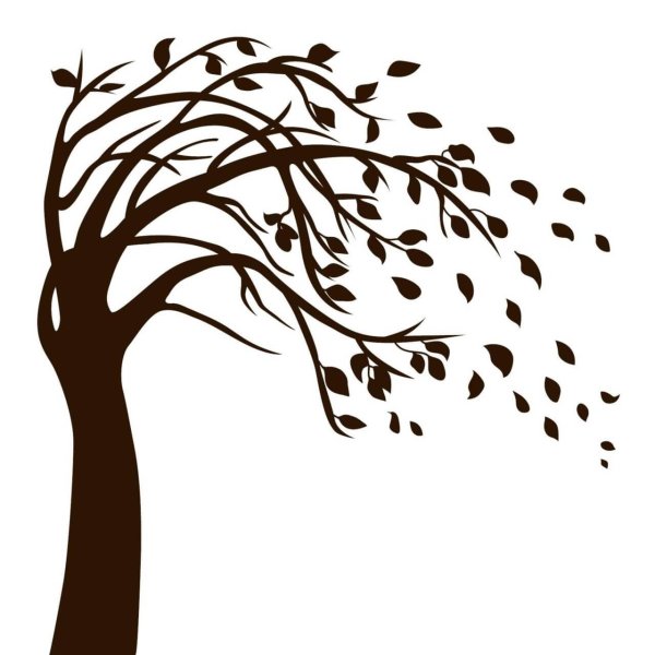 Силуэт осеннего дерева