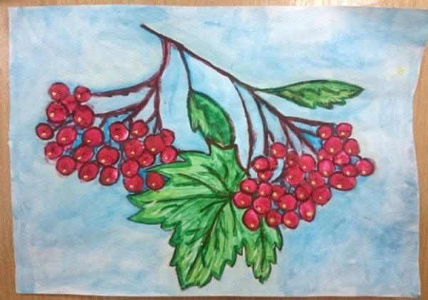 Рисунок калины