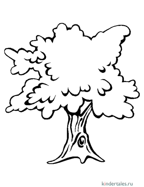 Дерево дуб раскраска