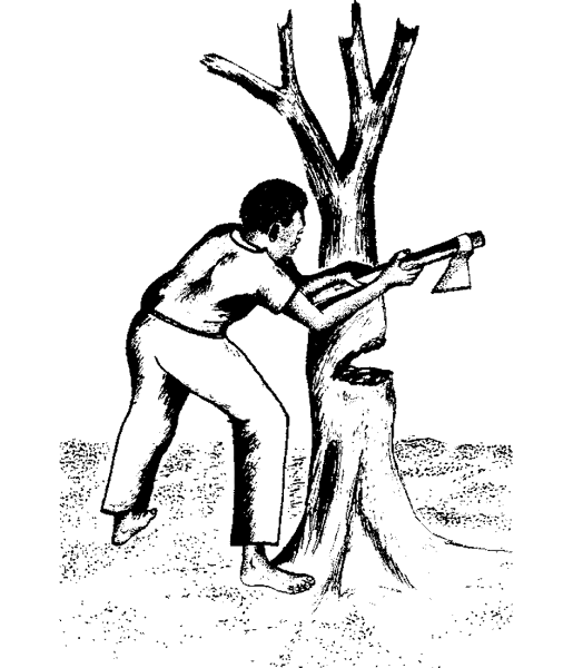 Срубленное дерево раскраска