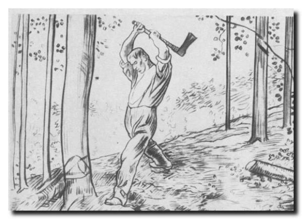 Рубит дерево