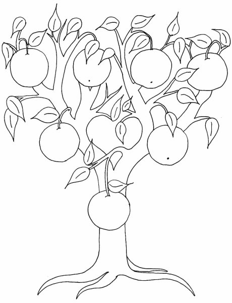 Генеалогическое дерево для раскрашивания