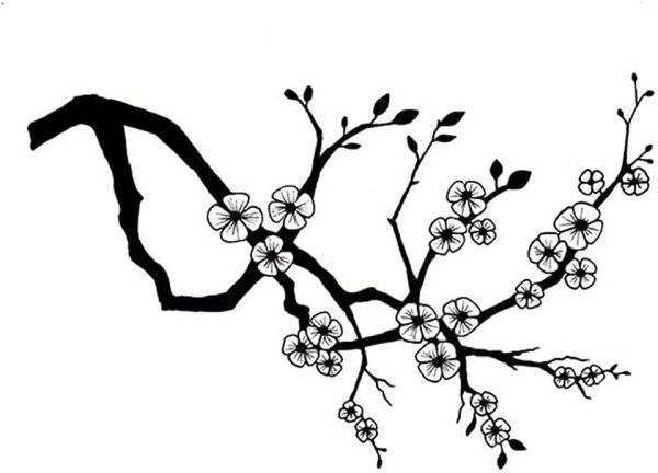Сакура силуэт