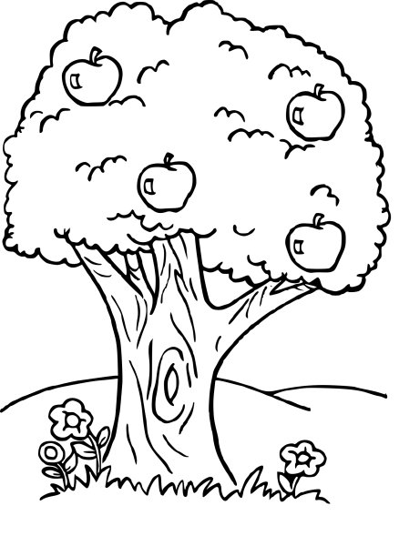 Дерево раскраска