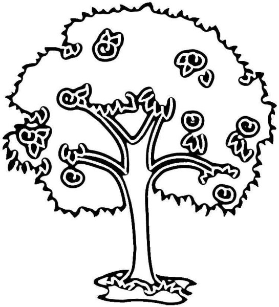 Раскраска плодовые деревья