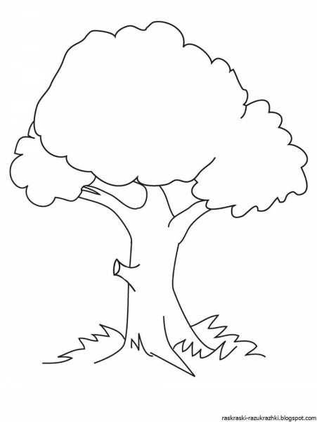 Дерево раскраска для детей