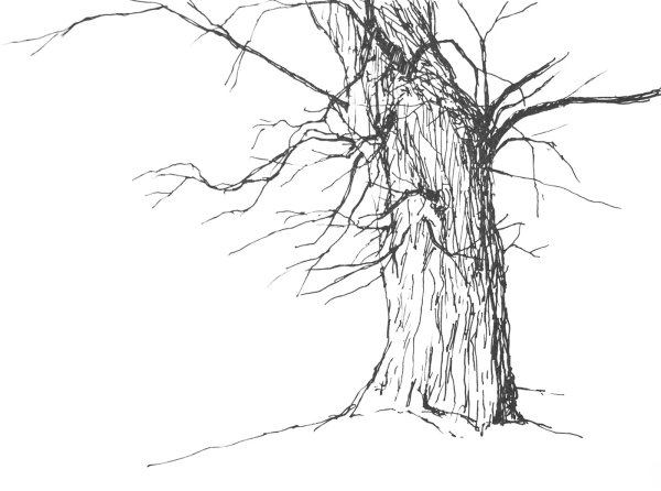 Высохшее дерево раскраска