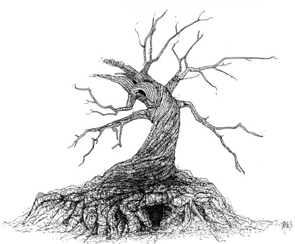 Нарисовать дерево с корнями