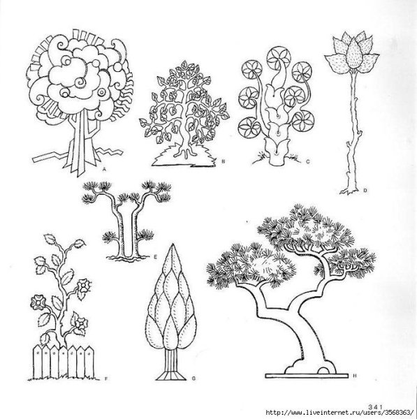 Деревья и кустарники трафареты