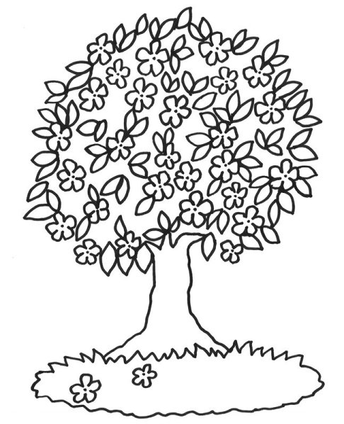 Красивое дерево раскраска