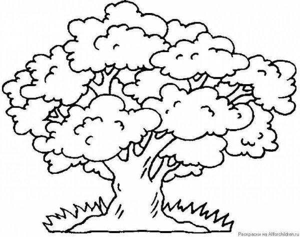 Дерево раскраска для детей