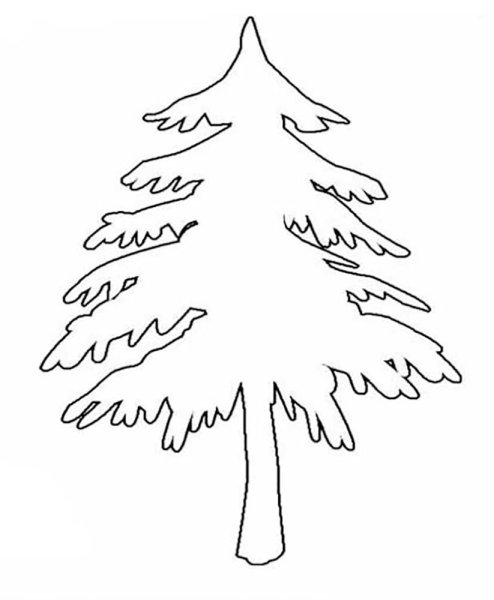 Ель раскраска для детей