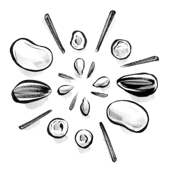 Семечки раскраска