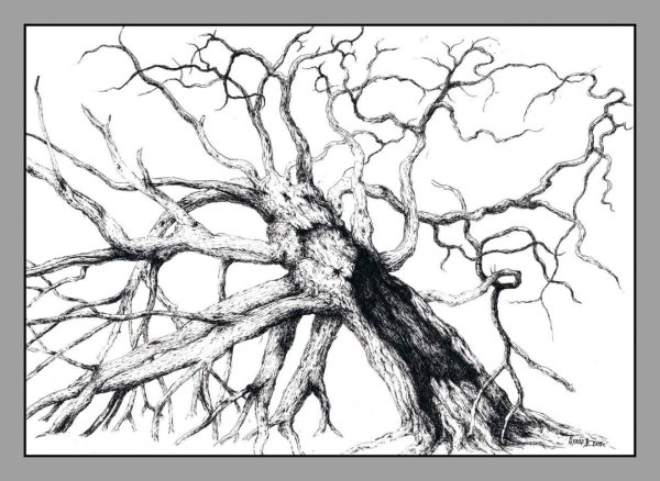 Дерево карандашом снизу