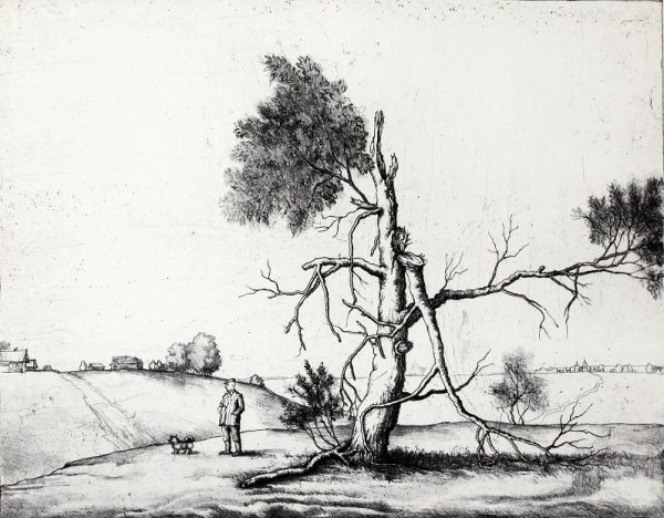 Костин Андрей Львович (1947-2000)