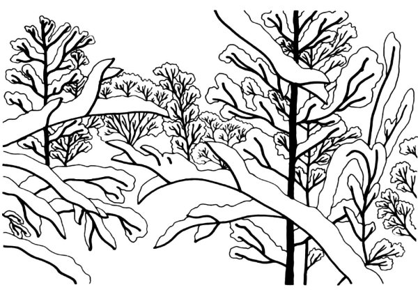 Раскраска зима в лесу