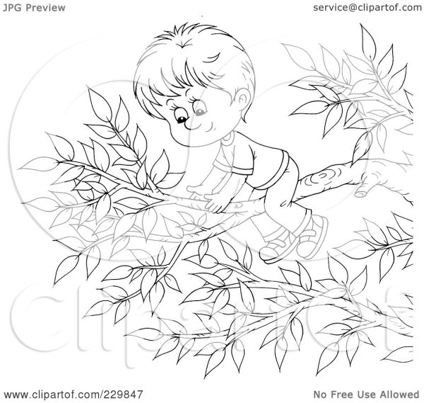 Мальчик на дереве раскраска