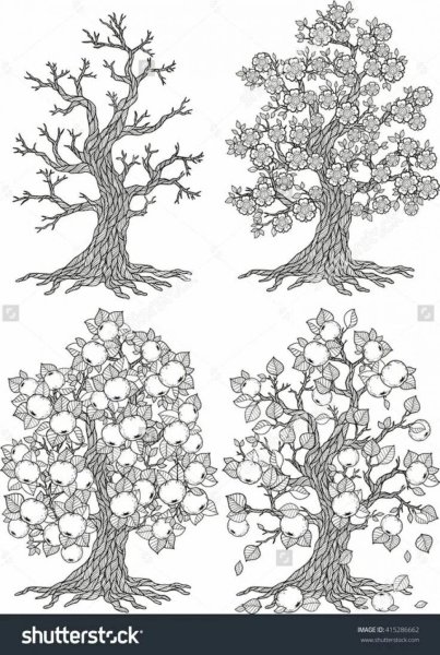 Раскрасить деревья по временам года
