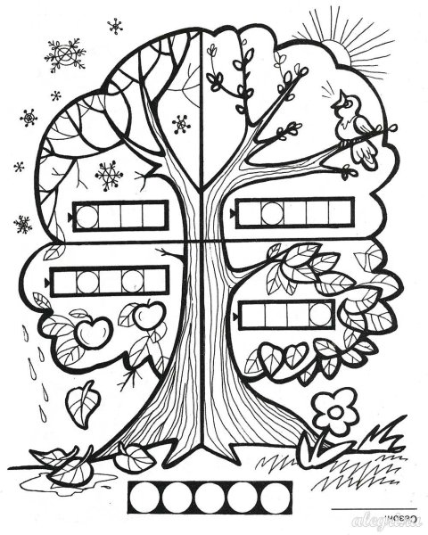 Дерево по сезонам раскраска для детей