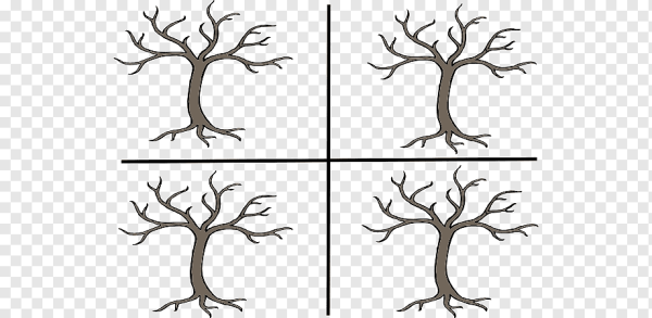 Раскрасить деревья по временам года