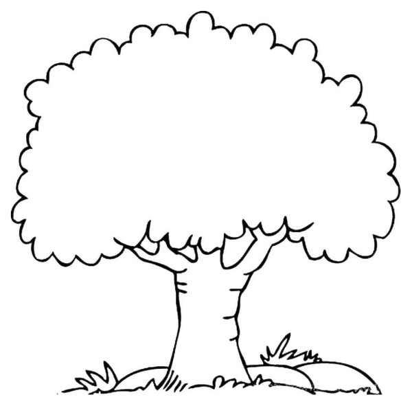 Дерево раскраска для детей