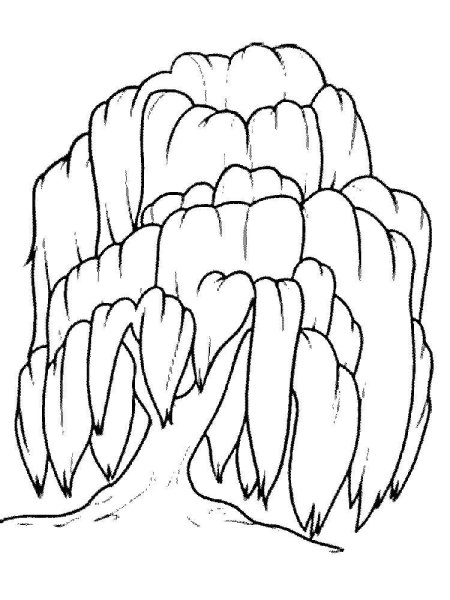 Картинки для раскрашивания Ива