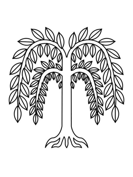 Ива раскраска для детей