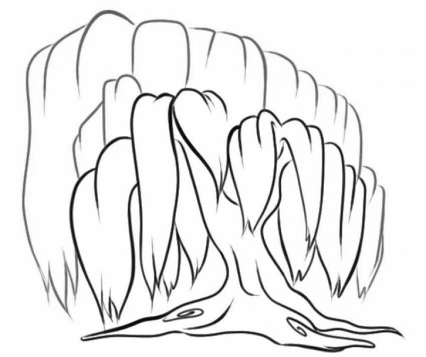 Ива раскраска для детей