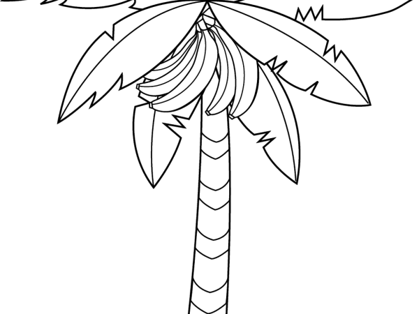 Раскраска Пальма с бананами