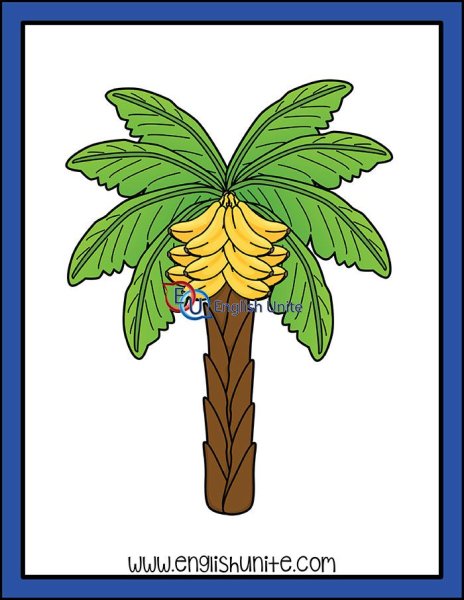 Банановая Пальма раскраска