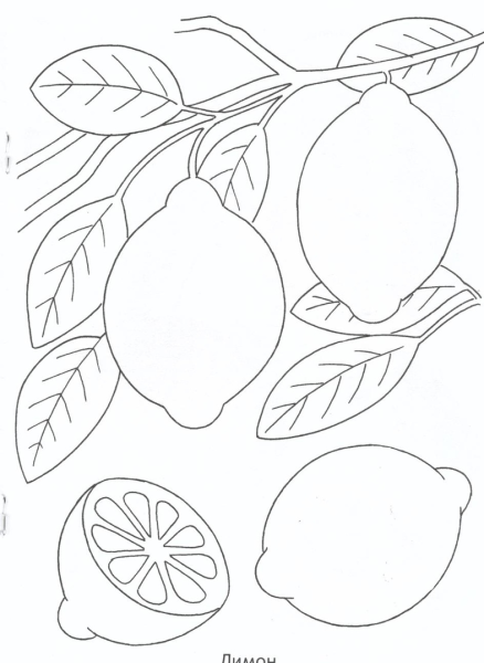 Лимон раскраска