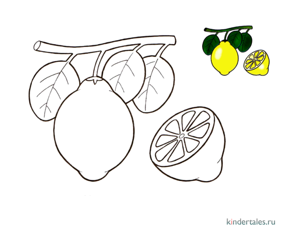 Фрукты раскраска для детей