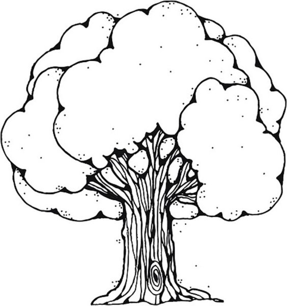 Дерево раскраска
