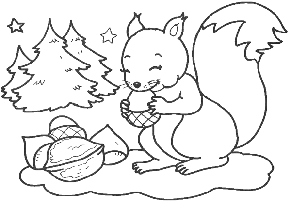 Белочка раскраска для детей