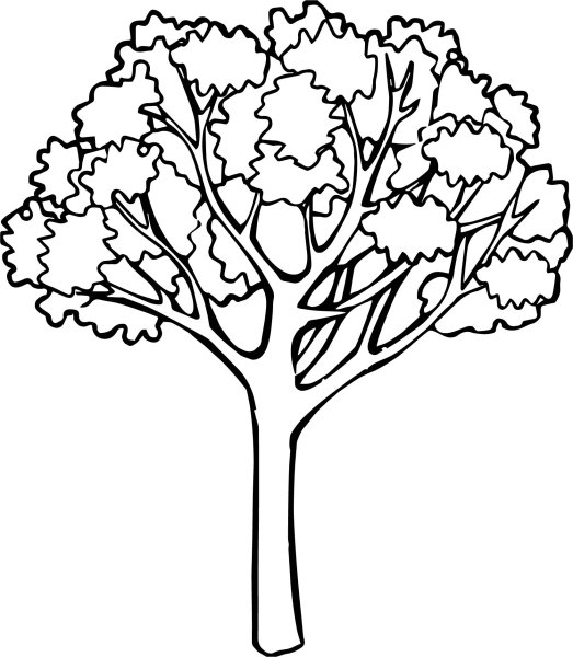 Осеннее дерево раскраска