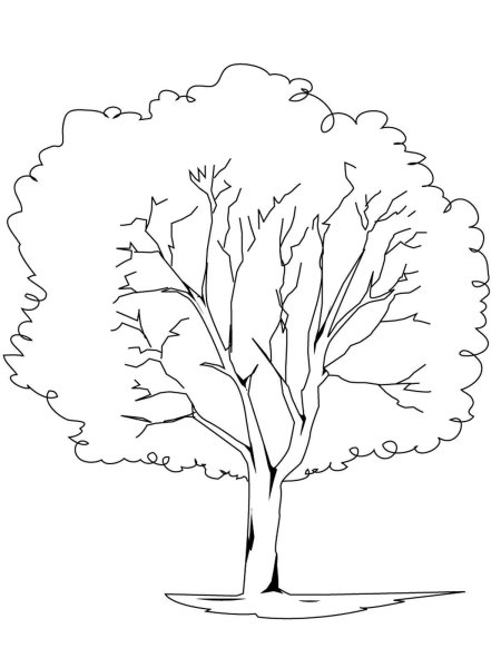 Дерево раскраска