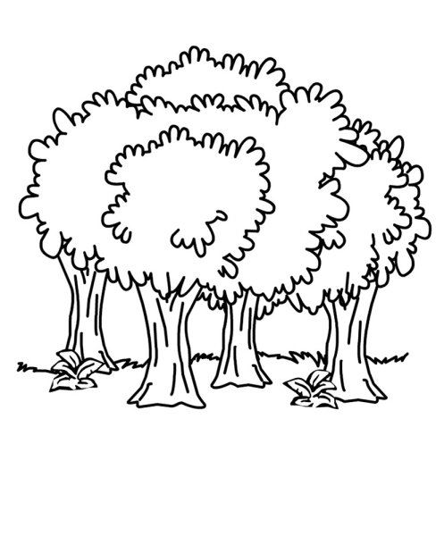 Лес раскраска для детей