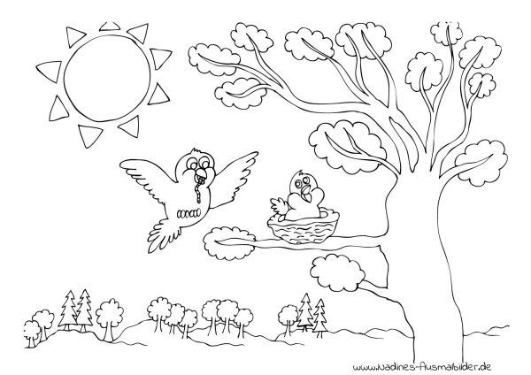 Птица на дереве раскраска