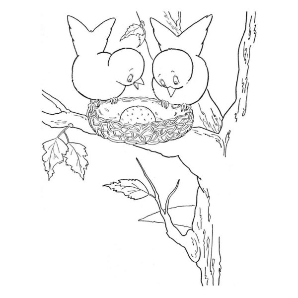 Раскраска гнездо птицы
