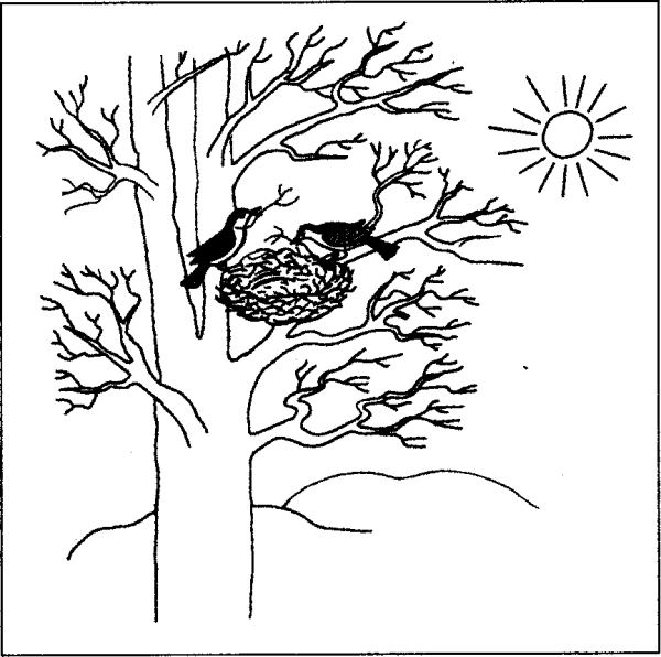 Птицы прилетели раскраска для детей