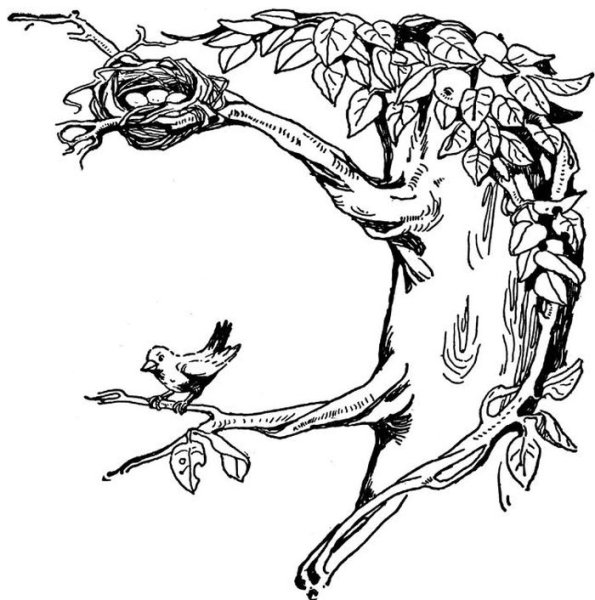 Дерево с гнездами для детей