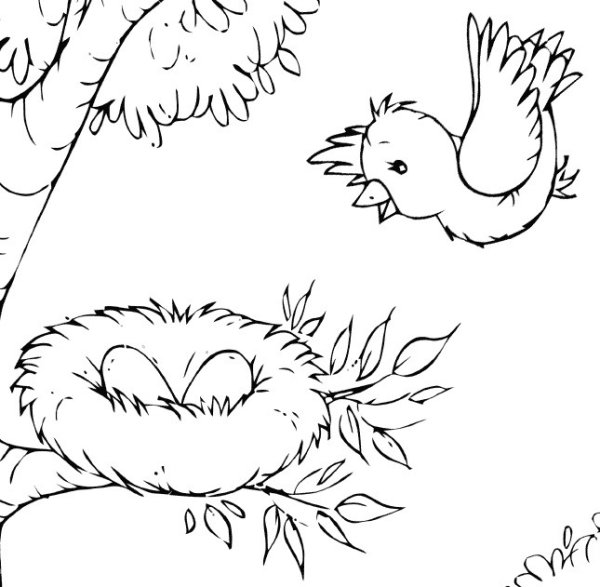 Рисунок гнездо с птенцами на дереве