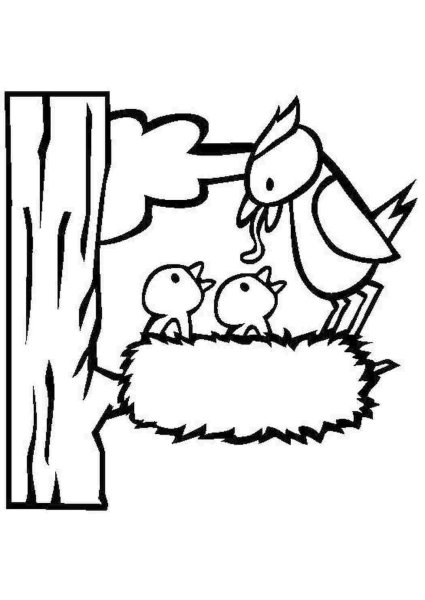 Раскраски для детей птицы весной