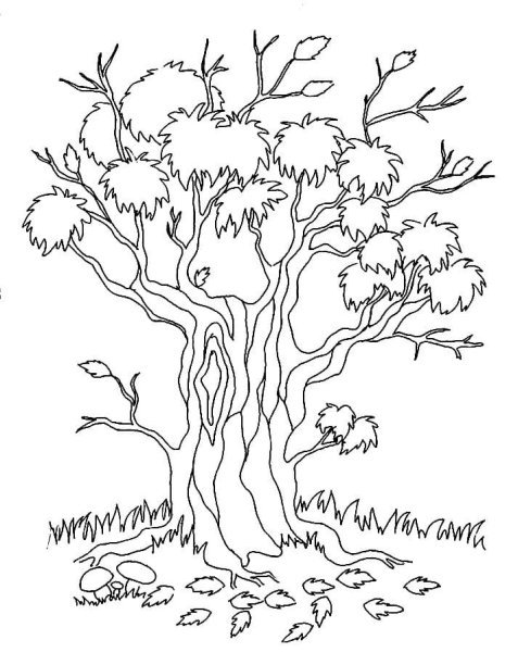 Осеннее дерево раскраска
