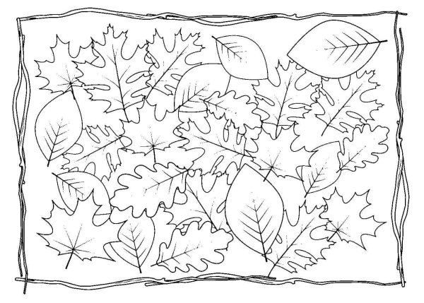 Краски осени раскраска