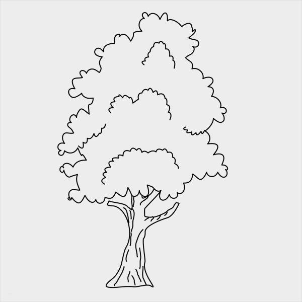 Дерево раскраска для детей