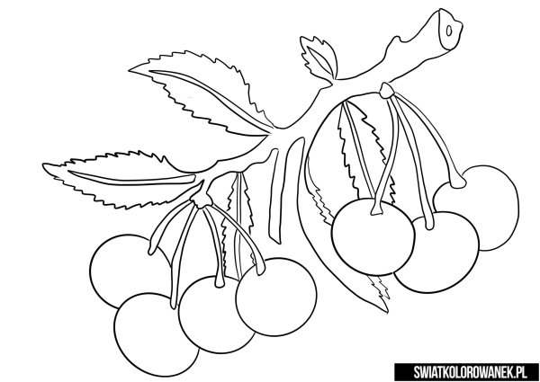 Раскраска черешня