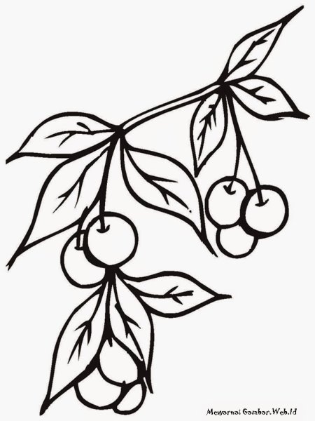 Веточка нарисованная